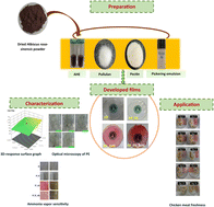 Graphical abstract: Development of pectin/pullulan-based freshness indicator films incorporated with hibiscus anthocyanin and cassava peel cellulose nanofiber-stabilized Pickering nanoemulsion