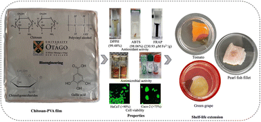 Graphical abstract: Antioxidant, antimicrobial, and cytotoxic properties of chitosan–PVA films functionalised with chitooligosaccharide and gallic acid for shelf-life extension of perishable foods