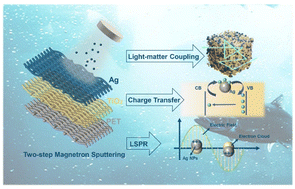 Graphical abstract: Portable Raman spectroscopy combined with machine learning for highly sensitive and rapid detection of food pollutants with flexible Ag@TiO2@polyester SERS substrates