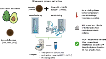 Graphical abstract: Enhanced recovery of antioxidant compounds from avocado pomace using ultrasound-assisted extraction systems