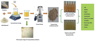 Graphical abstract: Sustainable delivery of encapsulated probiotics and their survival in fruit-based beverages and under simulated gastrointestinal conditions