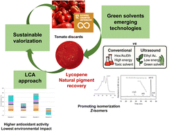 Graphical abstract: Sustainable valorization of tomato waste through life cycle assessment of lycopene extraction methods