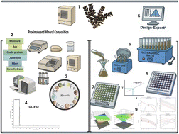 Graphical abstract: Optimization of extraction parameters for bioactive compounds from Sargassum cinereum using ultrasound-assisted extraction with insights into their chemical and nutritional composition