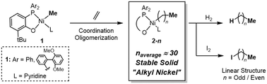 Graphical abstract: Synthesis and characterization of stable nickel(ii) complexes bearing long alkyl chains