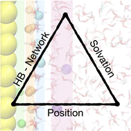 Graphical abstract: The effect of ions on water alignment and its nonlinear optical response at metal electrodes