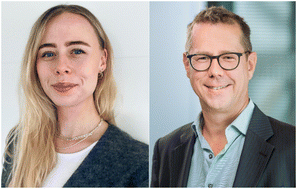 Graphical abstract: Preface: High-entropy alloy nanostructures: from theory to application