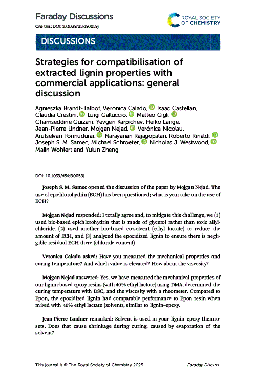 Strategies for compatibilisation of extracted lignin properties with commercial applications: general discussion