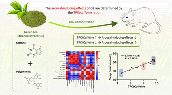 Graphical abstract: The polyphenol/caffeine ratio determines the arousal-inducing properties of the green tea ethanol extract