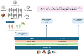 Graphical abstract: Exploring Galician phenolic-rich olive oil as a glycemic control strategy: the OILDIABET randomized trial