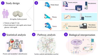 Graphical abstract: Multi-omic analysis and platelet function distinguish treatment responses to hydroxytyrosol in cardiovascular risk