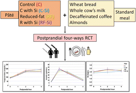 Graphical abstract: Postprandial metabolism of a reduced-fat meat product with added silicon from diatomaceous earth. A pilot randomized controlled four-way assay in humans
