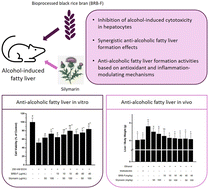 Graphical abstract: Bioprocessed black rice bran protects mice against alcohol-induced fatty liver formation