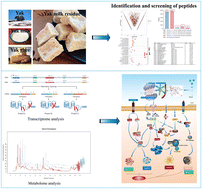 Graphical abstract: Comprehensive analysis of yak milk residue peptides for anti-hypoxic functional foods: targeting neuroinflammation and apoptosis in hypoxic mice