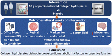 Graphical abstract: Effects of porcine-derived collagen hydrolysates on 24 h blood pressure profiles, markers for endothelial dysfunction and low-grade inflammation and the retinal vasculature in adults with overweight/obesity: a randomized, controlled trial