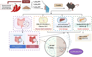 Graphical abstract: Modulation of hyperglycemia, insulin resistance responses and gut microbiota composition in type 2 diabetic mice by capsicum residue soluble dietary fiber