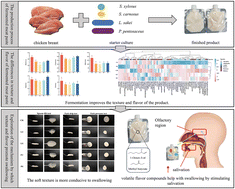 Graphical abstract: Lactic acid bacteria and staphylococci improve swallowability of fermented meat pastes by modulating texture and flavor