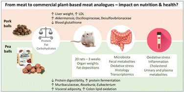 Graphical abstract: Metabolic consequences and gut microbiome alterations in rats consuming pork or a plant-based meat analogue