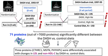Graphical abstract: Serum proteins associated with LDL-C and non-HDL-C reduction in response to dietary interventions in the DASH and DASH-Sodium trials