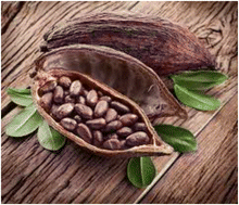 Graphical abstract: A pilot and feasibility analysis of serum TMAO and choline in a randomized sample from the COSMOS trial