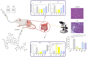 Graphical abstract: Effects of kefirs made from whole milk or whey on the pancreas-intestine axis in a mouse model of acute pancreatitis