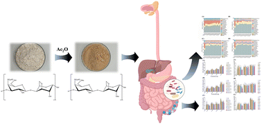 Graphical abstract: Effect of κ-carrageenan with different molecular weights and its acetylated derivatives on the structure and metabolites of the intestinal flora