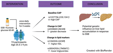 Graphical abstract: NAFLD-related SNPs are linked to changes in liver fat, as measured by the CAP score, and serum lipids in response to a 3-week sugar-sweetened beverage intervention: a pilot study