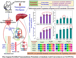 Graphical abstract: Flax lignan-fortified nanoemulsions potentiate the conversion of α-linolenic acid to n-3 LCPUFAs: cumulative metabolic patterns in non-fasting mice