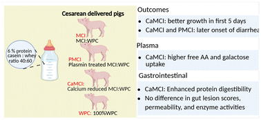 Graphical abstract: Evaluating casein ingredients in infant formula using pigs as a model for sensitive newborn infants