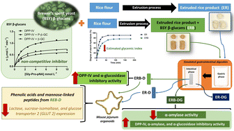 Graphical abstract: Hypoglycemic effects under in vitro digestion of brewer's spent yeast β-glucan concentrate added to a rice extrudate