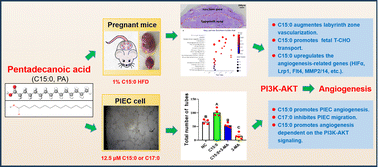 Graphical abstract: Pentadecanoic acid (C15:0) promotes placental angiogenesis by activating the placental PI3K-AKT signaling