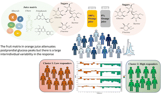 Graphical abstract: Impact of the orange juice fruit matrix on postprandial glycemia: a crossover randomized trial in healthy young men with post hoc analysis of interindividual response variability