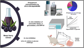 Graphical abstract: Effect of maqui berry extract consumption on postprandial responses in mice: actions on digestive enzymes and relevance of DPP-IV inhibition