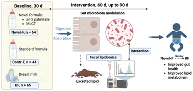 Graphical abstract: Effects of infant formula supplied with medium- and long-chain triacylglycerols and sn-2 palmitate on fecal lipid metabolome and microbiota profiles in healthy term infants: a parallel-controlled study
