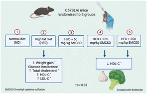 Graphical abstract: S-Methyl cysteine sulfoxide: its effects on cardiometabolic outcomes in high-fat fed C57BL/6 mice and relevance to human health
