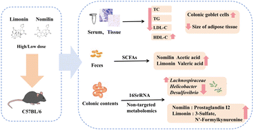 Graphical abstract: Effects of limonin and nomilin on lipid metabolic homeostasis in hyperlipidemic mice