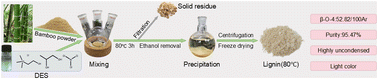 Graphical abstract: Protective fractionation of highly uncondensed lignin with high purity and high yield: new insights into propanediol-blocked lignin condensation
