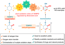 Graphical abstract: Synthesis of catechols from cyclohexanones via acid-regulated dual oxidative transformations with TEMPO