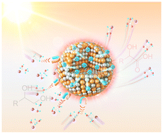 Graphical abstract: Selective oxidation of polyols to primary hydroxyl acids by plasmonic catalysis on an Au–Pt nanoalloy irradiated by visible light