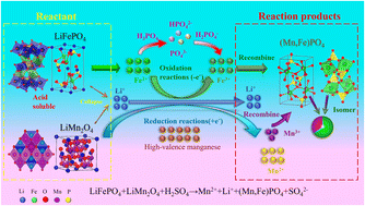Graphical abstract: Green and sustainable recycling of spent lithium batteries: synergistic leaching of SLFP and SLMO for valuable metal extraction and environmental benefits
