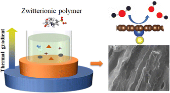 Graphical abstract: Zwitterionic polymer-assisted asymmetrically coordinated Cu atoms on aligned carbonous microchannels for efficient electroreduction of CO2 to CO
