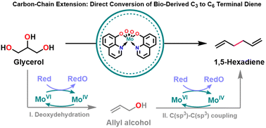 Graphical abstract: Upgrading biomass-derived glycerol into terminal olefins via molybdenum-catalyzed carbon-chain extension