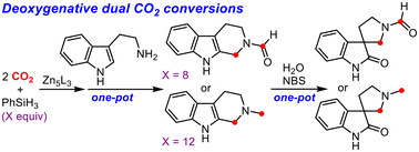 Graphical abstract: Deoxygenative dual CO2 conversions: methylenation and switchable N-formylation/N-methylation of tryptamines