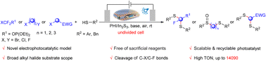 Graphical abstract: Photoelectrochemical-induced heterogeneous catalytic selective dehalogenation coupling of alkyl halides with thiophenols via interfacial charge transfer