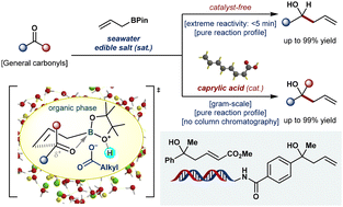 Graphical abstract: “On-seawater” accelerated aquacatalysis by edible fatty acids: harnessing the remarkable salting-out effect