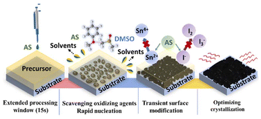 Graphical abstract: Efficient tin halide perovskite solar cells with an extended processing window