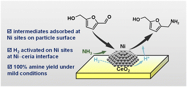 Graphical abstract: Harnessing the synergism between Ni particles and an Ni–ceria interface for efficient biomass reductive amination