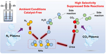 Graphical abstract: Catalyst-free urea synthesis via plasma-driven direct coupling of CO2 and N2 under ambient conditions