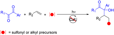 Graphical abstract: Kinetic-control difunctionalization of olefins to α-hydroxycarbonyls under catalyst-free conditions