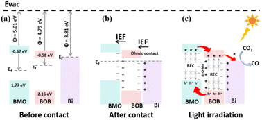 Graphical abstract: Constructing a Bi–O–Mo electronic bridge bond and active sites over Bi/Bi2MoO6/Bi24O31Br10 to boost the stepwise transfer of electrons for efficient CO2 photoreduction