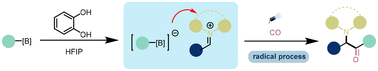 Graphical abstract: A catechol-catalyzed photocatalytic carbonylative four-component reaction of alkylboronic acids with aldehydes and amines